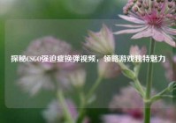 探秘CSGO强迫症换弹视频，领略游戏独特魅力