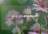 RIP113，PUBG里的传奇征途