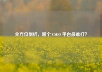 全方位剖析，哪个 CSGO 平台最难打？