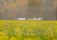 一文解惑，Steam怎么念？