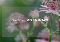 Steam Sensor，蒸汽世界感知先锋