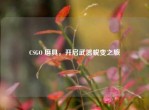 CSGO 磨具，开启武器蜕变之旅