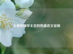 王者荣耀中王忠的热血忠义征程