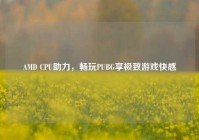 AMD CPU助力，畅玩PUBG享极致游戏快感