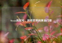Steam高配号，游戏世界的黄金门票