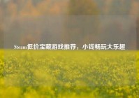 Steam低价宝藏游戏推荐，小钱畅玩大乐趣