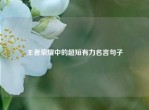 王者荣耀中的超短有力名言句子
