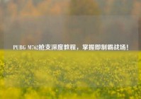 PUBG M762枪支深度教程，掌握即制霸战场！