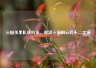 三国杀单机联机版,重温三国风云的不二之选
