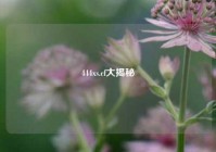 444xs.cf大揭秘