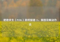 绝地求生（PUBG）游戏报错 25，原因及解决办法