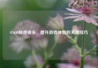 CSGO快速镜头，提升游戏体验的关键技巧
