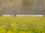 王者荣耀 VIP7，荣耀进阶标识及充值金额解析