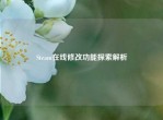 Steam在线修改功能探索解析