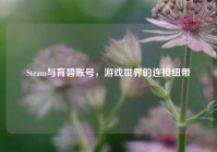 Steam与育碧账号，游戏世界的连接纽带