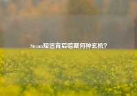 Steam短信背后暗藏何种玄机？
