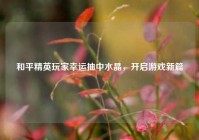 和平精英玩家幸运抽中水晶，开启游戏新篇