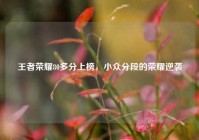 王者荣耀80多分上榜，小众分段的荣耀逆袭