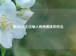解决LOL无法输入程序困扰的办法