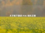 太子殿下激战 PUBG 组队正酣