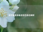 和平精英各版本综合排名解析