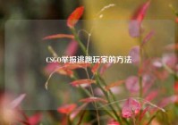 CSGO举报逃跑玩家的方法