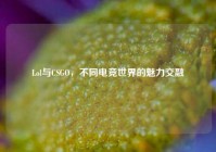 Lol与CSGO，不同电竞世界的魅力交融