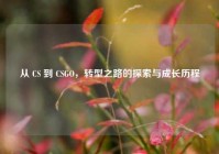 从 CS 到 CSGO,转型之路的探索与成长历程