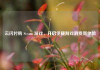云闪付购 Steam 游戏，开启便捷游戏消费新体验