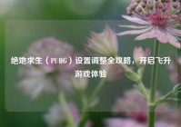 绝地求生（PUBG）设置调整全攻略，开启飞升游戏体验