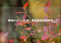 解锁PUBG 16:9比例，畅享极致游戏体验