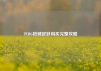 PUBG枪械皮肤购买完整攻略