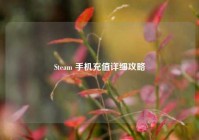 Steam 手机充值详细攻略