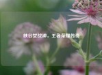 峡谷女战神，王者荣耀传奇
