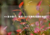 970 显卡助力，畅享 CSGO 经典电竞别样体验