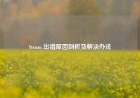 Steam 出错原因剖析及解决办法