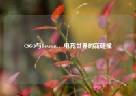 CSGO与Revemu，电竞世界的新碰撞