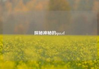 探秘神秘的qaz.cf