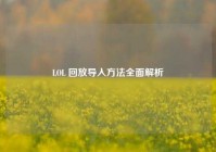 LOL 回放导入方法全面解析