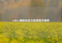COD16 删除自定义配置相关解析