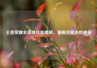 王者荣耀全英雄技能揭秘，掌握技能决胜峡谷