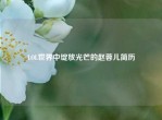 LOL世界中绽放光芒的赵蓉儿简历