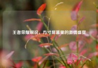 王者荣耀解说，方寸屏幕里的激情盛宴