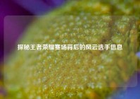 探秘王者荣耀赛场背后的风云选手信息