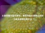 王者荣耀小园子教学，带你开启王者峡谷进阶之旅及视频合集大全
