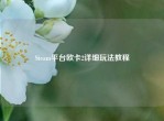 Steam平台欧卡2详细玩法教程