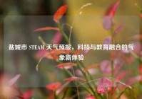 盐城市 STEAM 天气预报，科技与教育融合的气象新体验