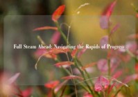 Full Steam Ahead: Navigating the Rapids of Progress