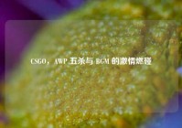 CSGO，AWP 五杀与 BGM 的激情燃碰