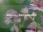 奶奶与Steam，跨越代沟的科技之约